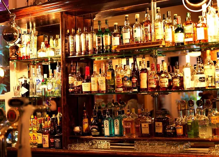 凯利酒店 酒店 都柏林